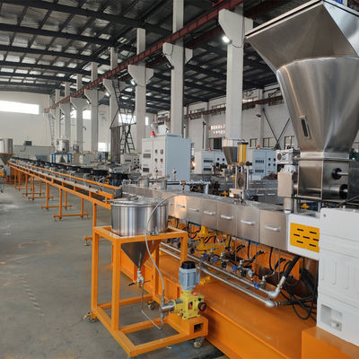 Parallel Co-rotating Twin Screw Extruder PLA Extruder with CE Certification